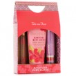 Pacifica Take Me There Hawaiian Ruby Guava Set, $18 ($26 value)