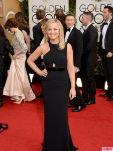 Amy Poehler Golden Globes 2014