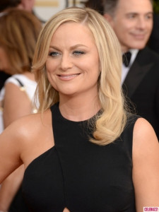 Amy Poehler Golden Globes 2014