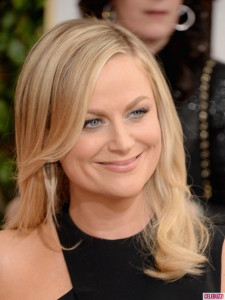 Amy Poehler Golden Globes 2014