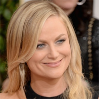 Amy Poehler Golden Globes 2014